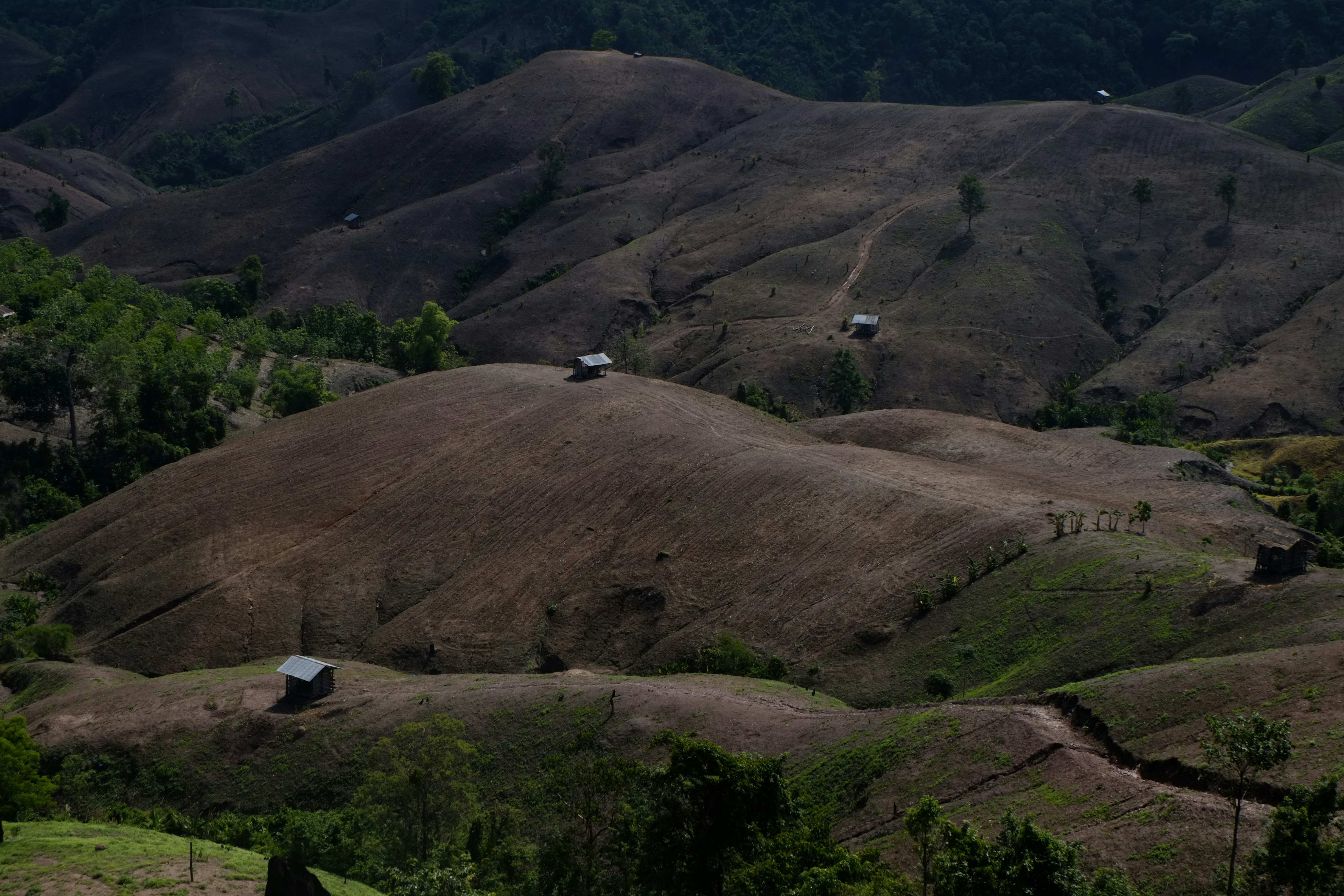 Ancestral Land Preservation Strategies